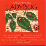Ladybug50
