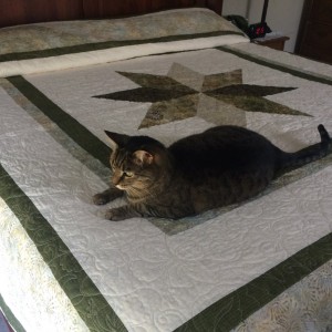 My First Large Quilt