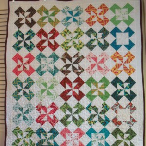 Jenny's Colorado Quilt with a twist