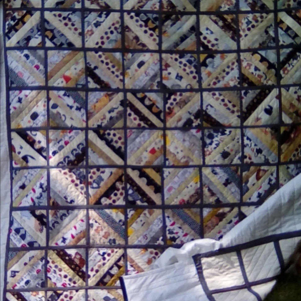 Cat quilt