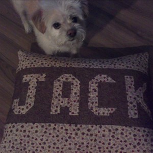 Jack's Dog Pillow