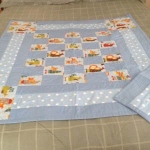 Quilts for twins