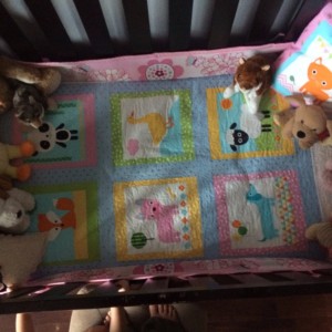 2nd Baby Quilt for Willow
