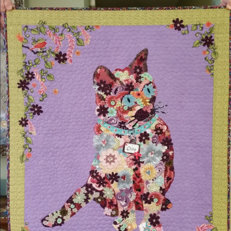 Collage kitty