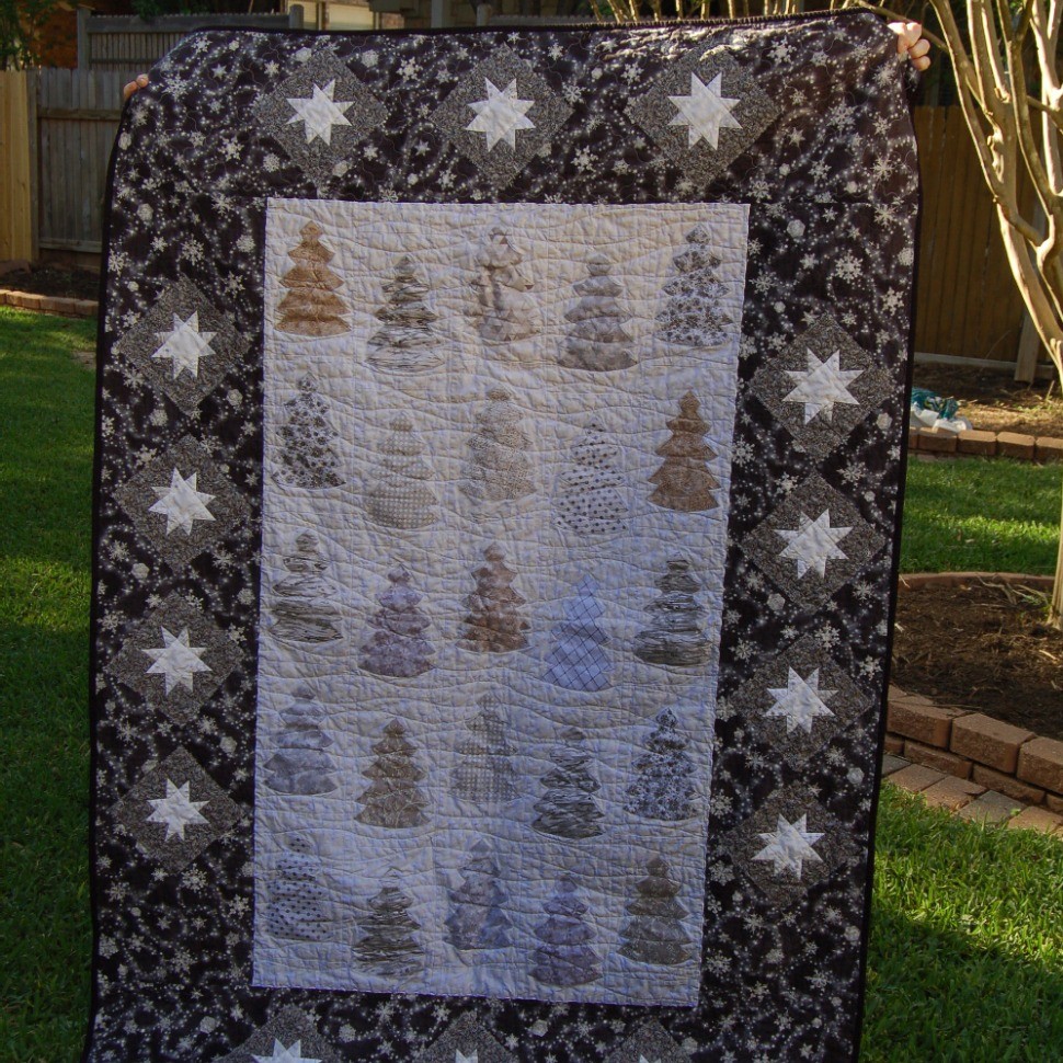 So THAT's What Happened Story Quilt