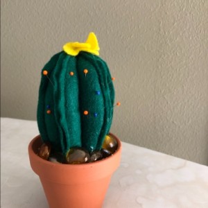 Cactus Pincushion 