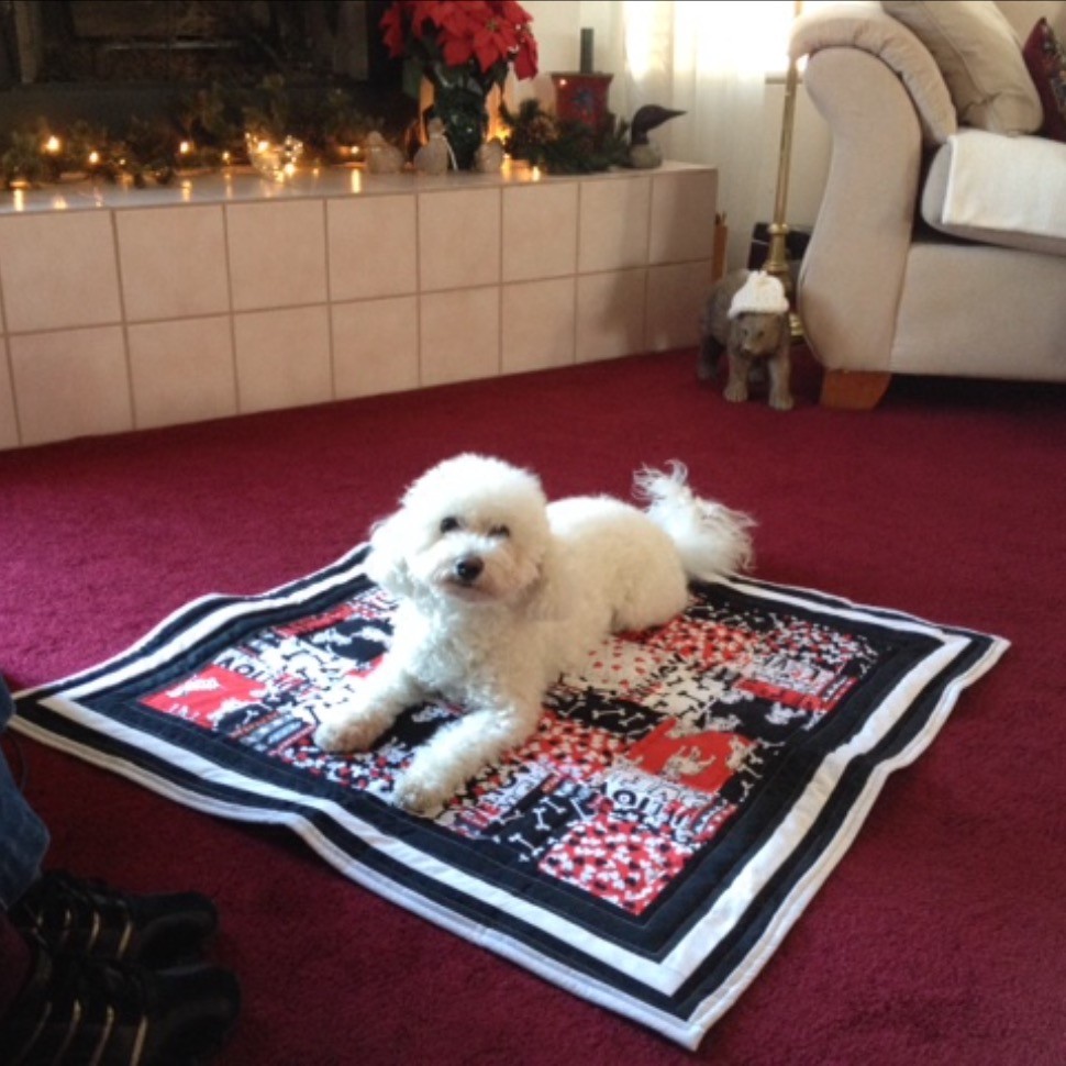 Adopted Doggie Quilt