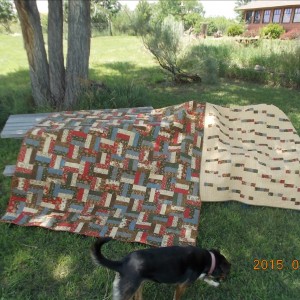 Quick & Easy Rail Fence Jelly Roll Quilt