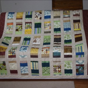 Lee's Coin Quilt